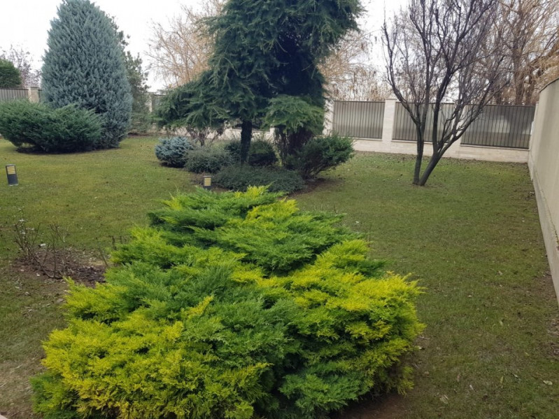 Consilieri / Faleza Nord - Vila moderna deosebita cu vedere la mare